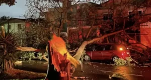 Leia mais sobre o artigo Seguro cobre danos causados por ciclone?