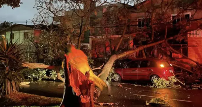 Leia mais sobre o artigo Seguro cobre danos causados por ciclone?