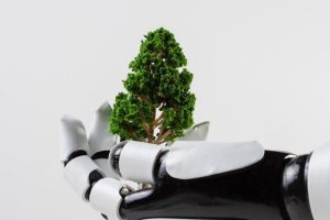 Leia mais sobre o artigo Mercado de Seguros precisa encarar o desafio ambiental com soluções inovadoras