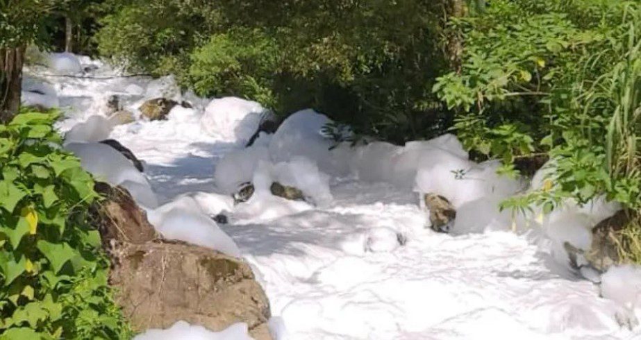 No momento, você está visualizando Acidente em Joinville expõe o valor do seguro ambiental