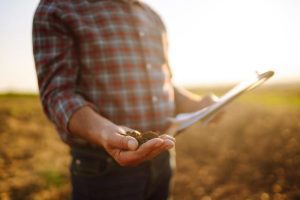 Leia mais sobre o artigo Projeto autoriza utilização de recursos do PIS/PASEP no seguro rural