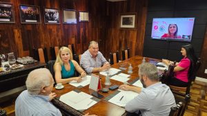 Leia mais sobre o artigo Seguro de vida e de saúde crescem mas companhias procuram combater fraudes, avalia Comissão do Sindseg PR/MS