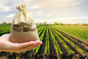 Leia mais sobre o artigo Seguradora tem primeiro Seguro de Crédito Agro que atende o empreendedor individual