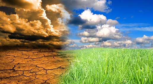 Leia mais sobre o artigo Como as mudanças climáticas aquecem (ou esfriam) o mercado de seguros?