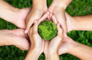 Leia mais sobre o artigo Como a sustentabilidade e o ESG estão pautando o futuro do mercado de seguros