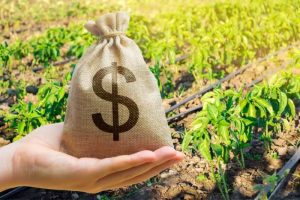 Leia mais sobre o artigo Contratação de seguros de vida aumenta entre produtores rurais