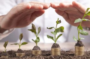 Leia mais sobre o artigo Governo corta verba do seguro rural e prejudica produtores rurais