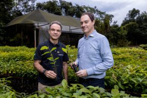 Leia mais sobre o artigo Floresta MAPFRE: o futuro plantado de forma segura