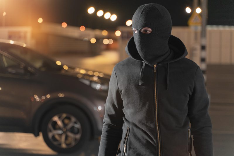 Leia mais sobre o artigo Estado de SP registra queda de 14% no índice de roubo e furto de veículos