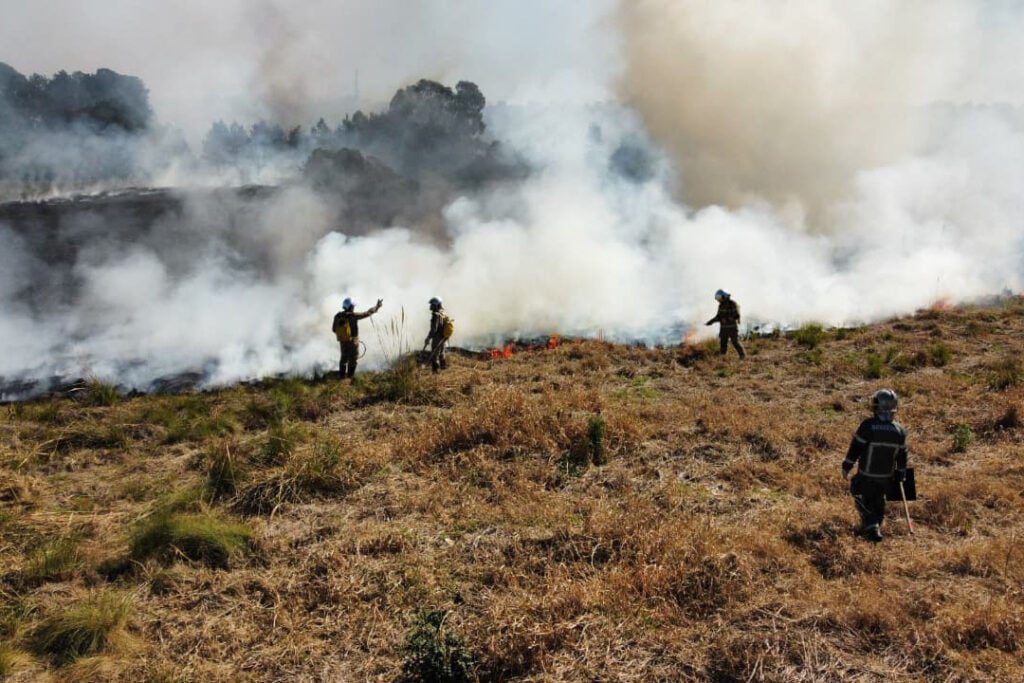 Leia mais sobre o artigo Irresponsabilidade está por trás de um terço dos incêndios ambientais no Paraná