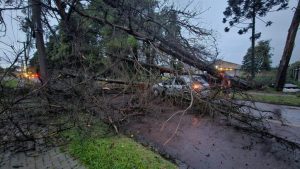 Leia mais sobre o artigo Queda de cobertura de escola, destelhamentos e árvores caídas: temporal causa estragos no Paraná